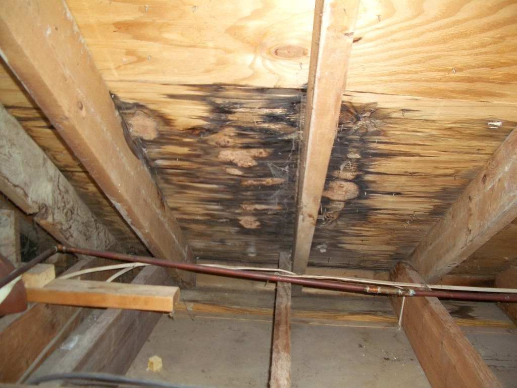 Roof Problems project in Edmonton by PJ Roofing