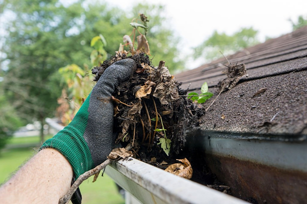 Gutter Cleaning Edmonton