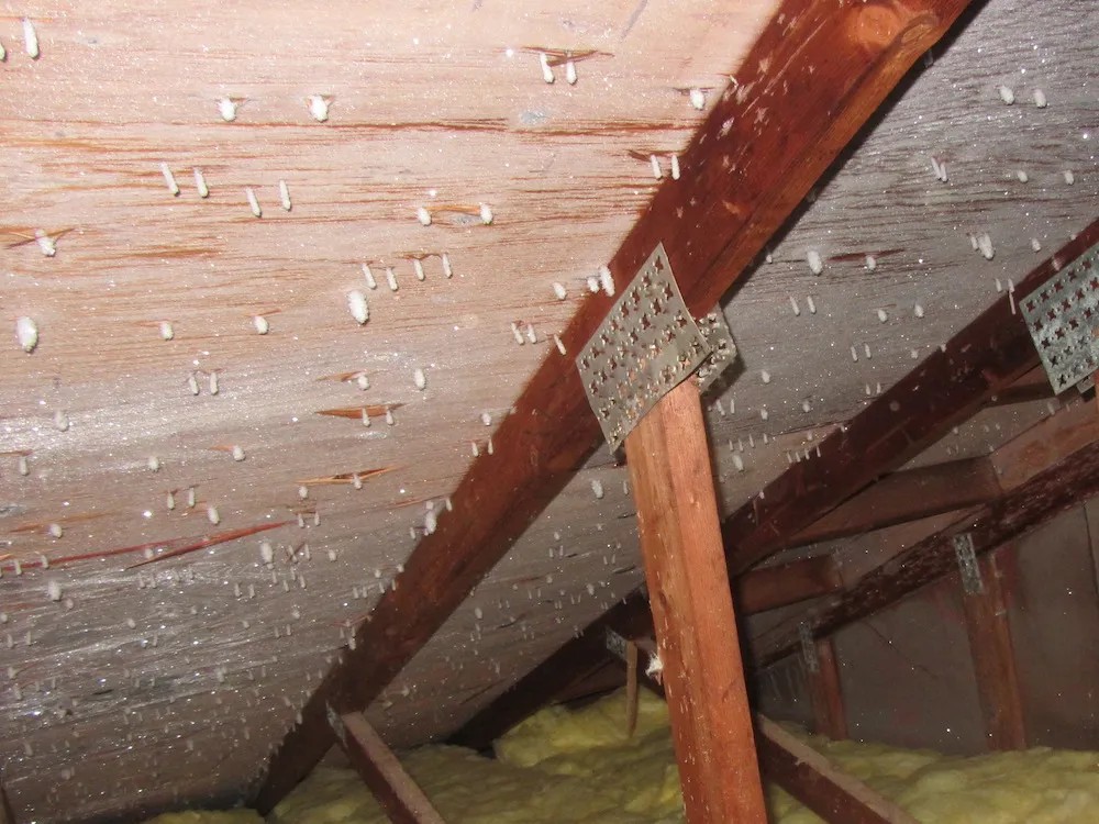 Roof Inspection Edmonton