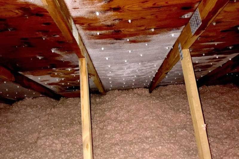 Roof Inpection Edmonton