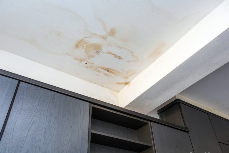 Roofing Inspection Edmonton