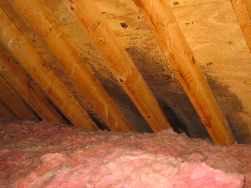 Roof Inspection in Edmonton