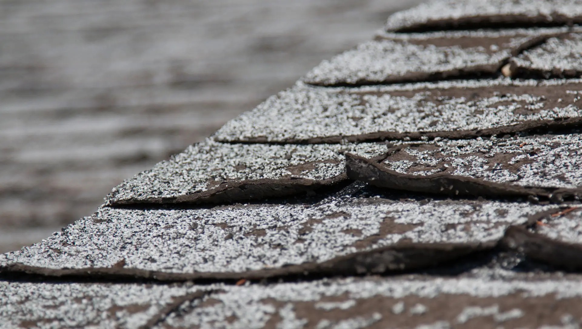 Edmonton Roof Inspection