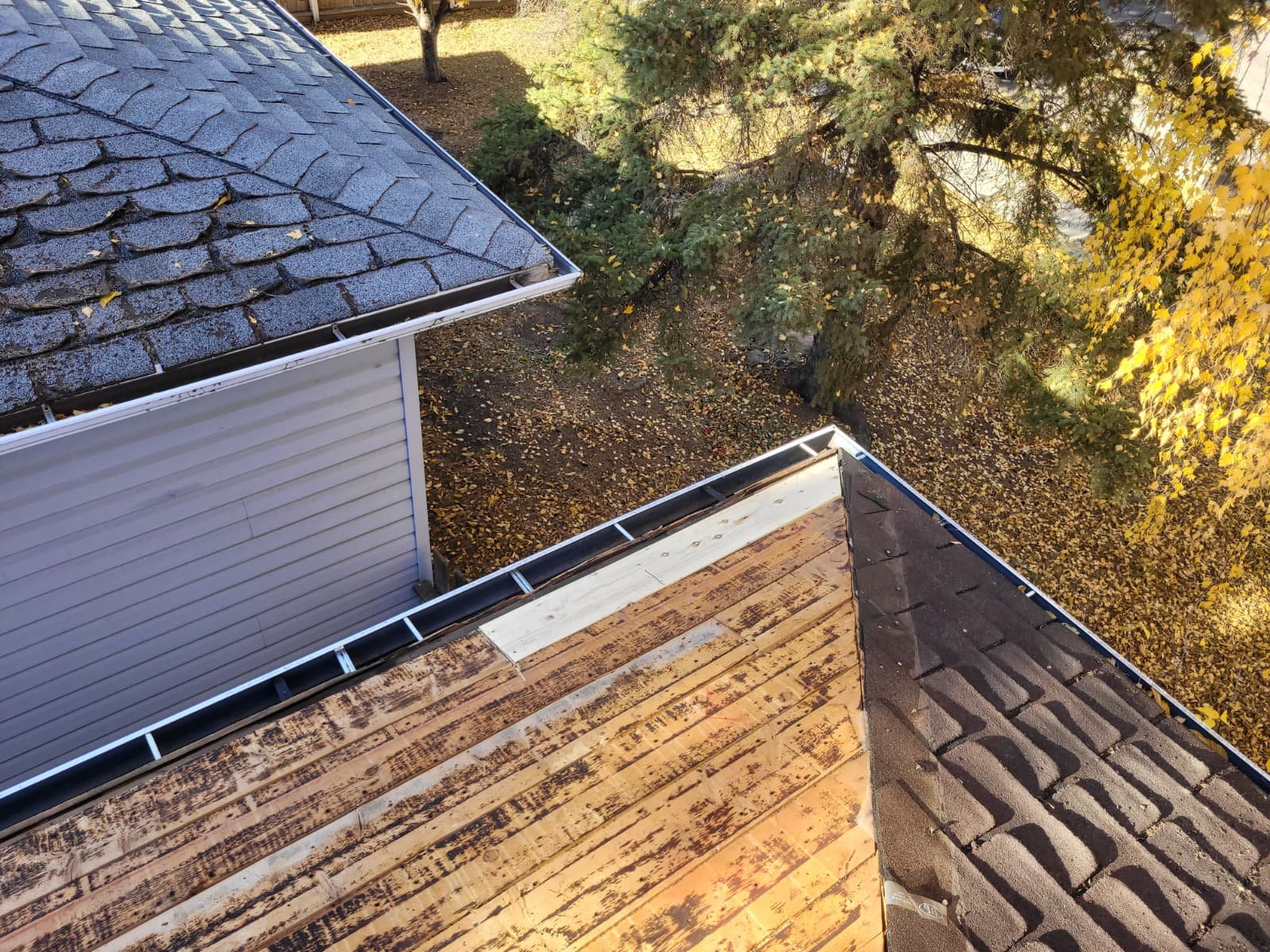 Roof Repair in Edmonton