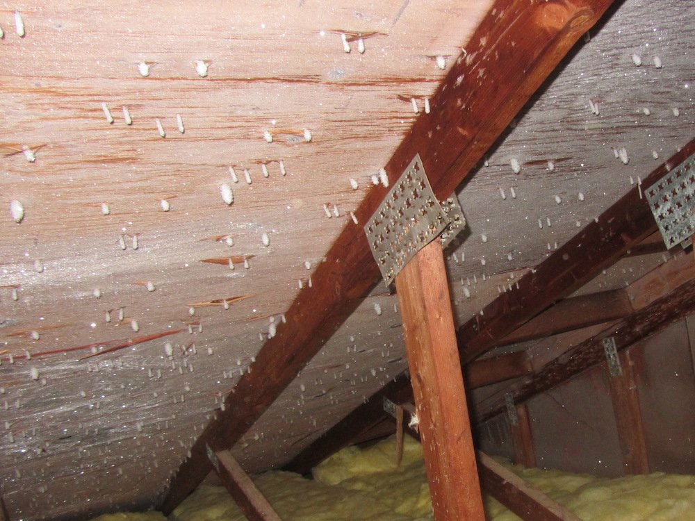 Roof Attic Condensation Edmonton