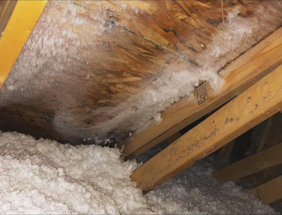 Roof Attic Condensation Edmonton