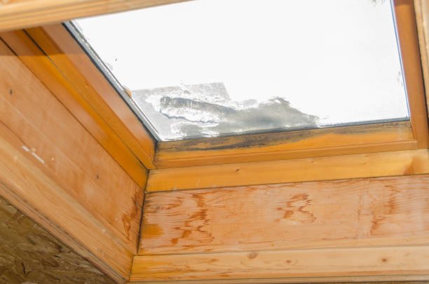 skylight leak edmonton