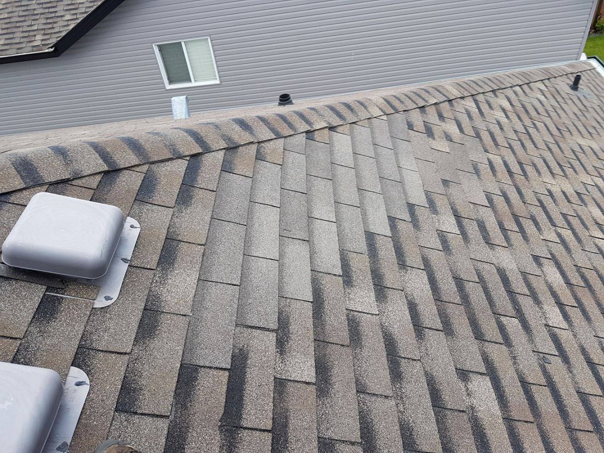 roof restoration edmonton