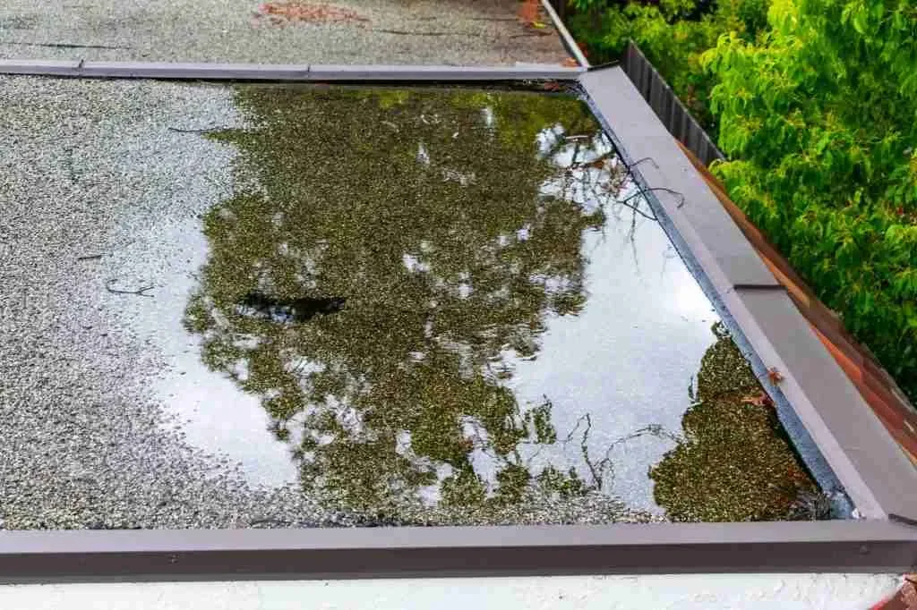 Commercial Roofing in Edmonton: 5 Signs Your Flat Roof Needs Repair Right Now