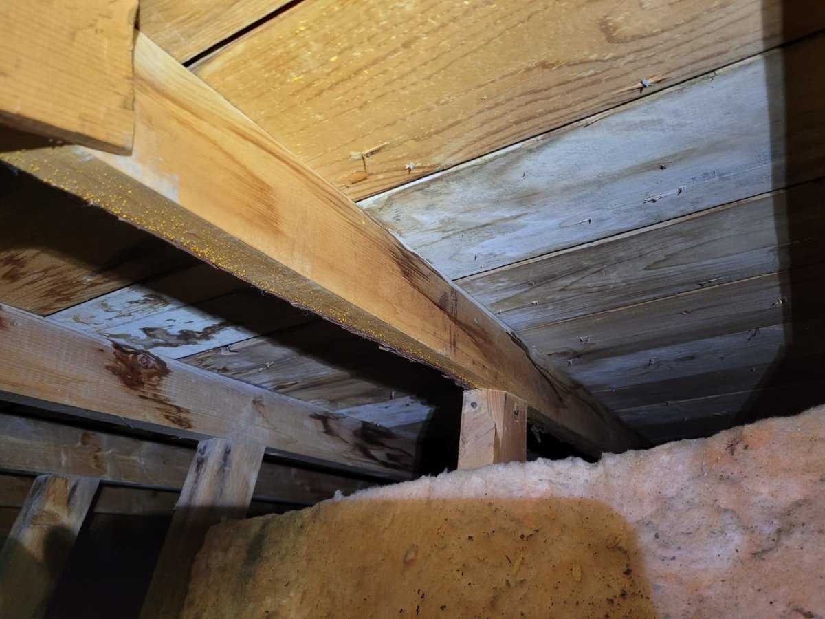 roof leaks in winter edmonton