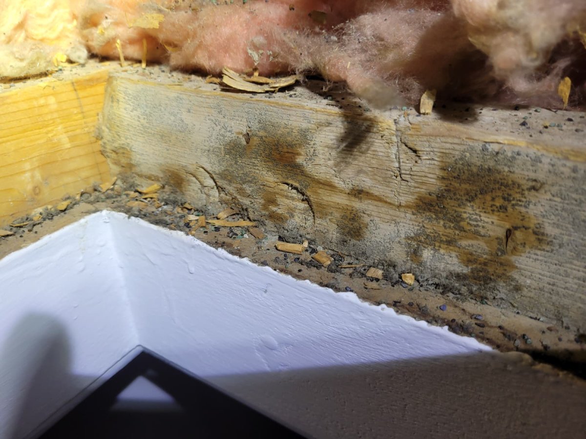 roof leaks in winter edmonton