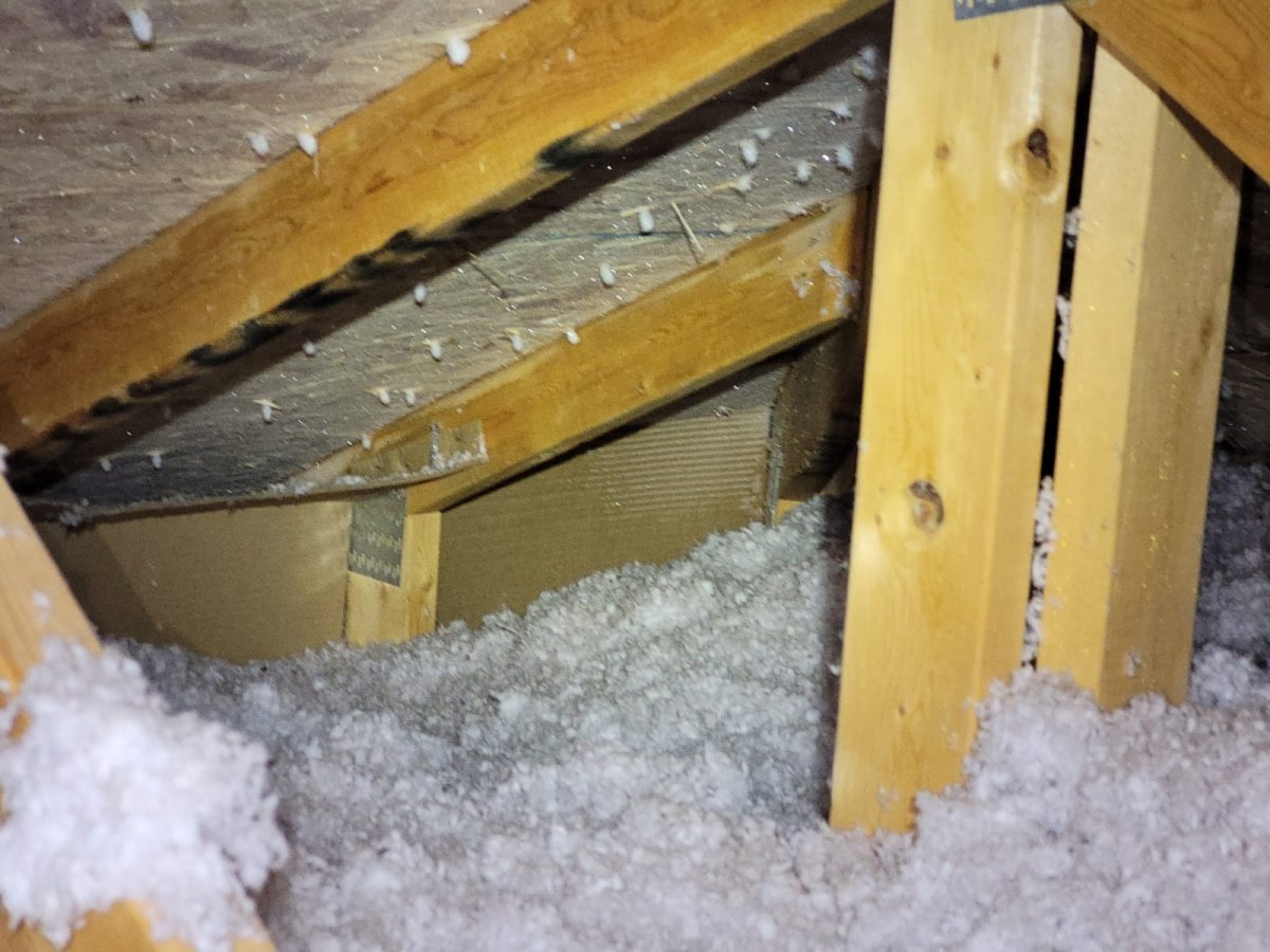 home buyer roof inspector edmonton