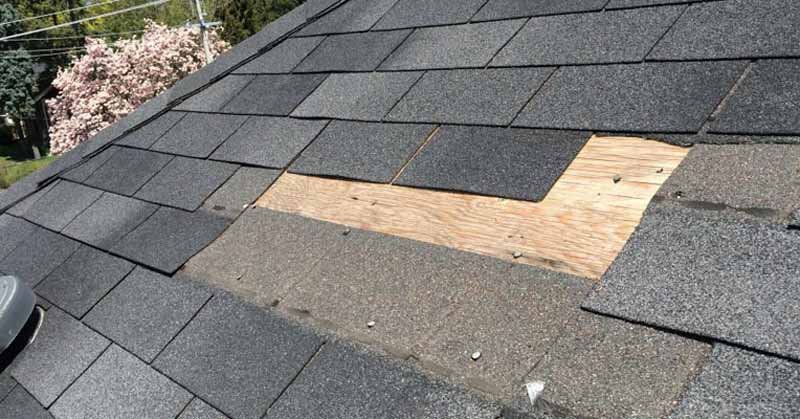 Missing Shingles Repair in Edmonton: Don't Wait for Leaks